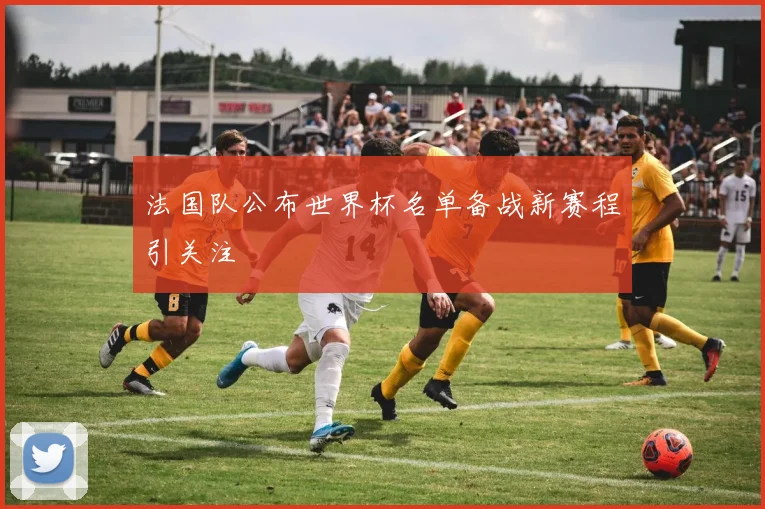 法国队公布世界杯名单备战新赛程引关注