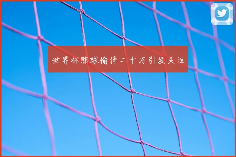 世界杯赌球输掉二十万引发关注