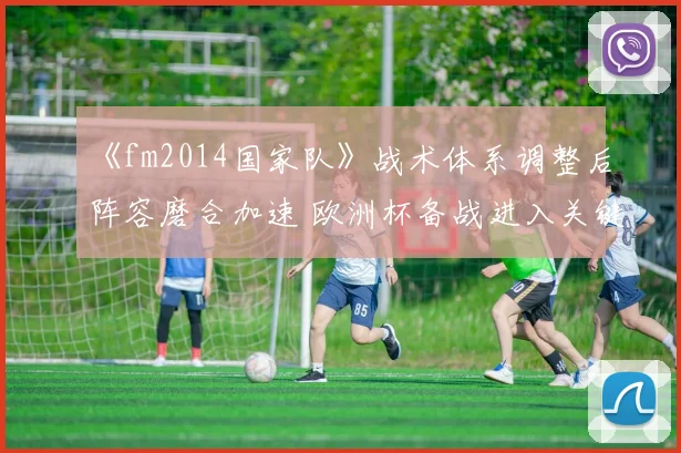 《fm2014国家队》战术体系调整后阵容磨合加速 欧洲杯备战进入关键阶段