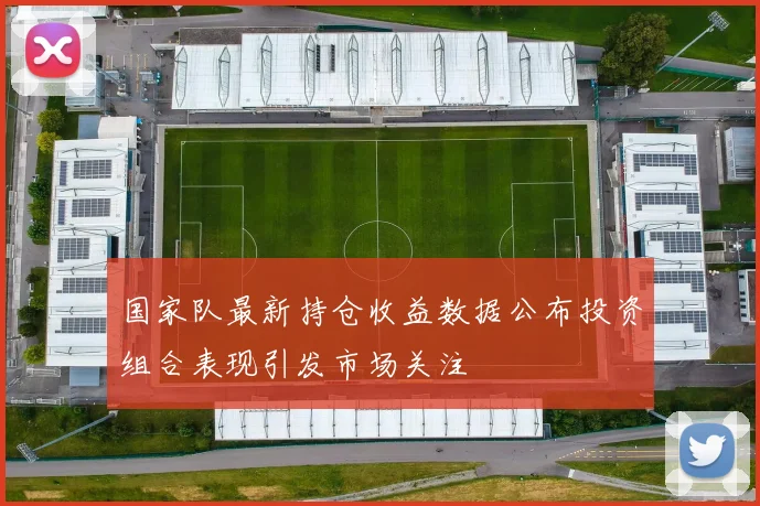 国家队最新持仓收益数据公布投资组合表现引发市场关注