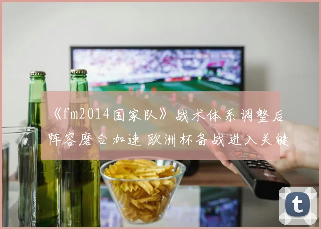 《fm2014国家队》战术体系调整后阵容磨合加速 欧洲杯备战进入关键阶段