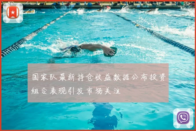 国家队最新持仓收益数据公布投资组合表现引发市场关注